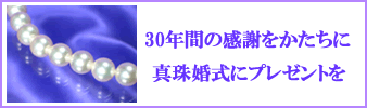 30N̐ߖڂ̔NɃp[v[gĂ